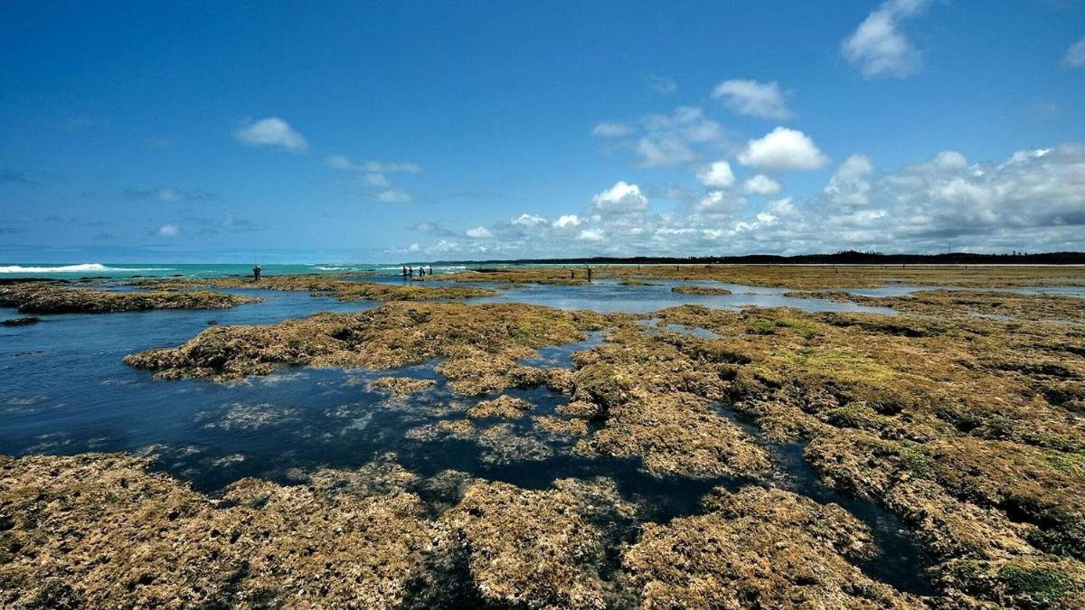 Abaetetuba Pousada São Miguel dos Milagres エクステリア 写真